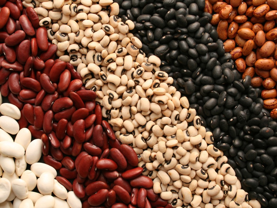 Beans.jpg